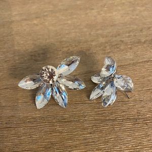 Crystal Earrings